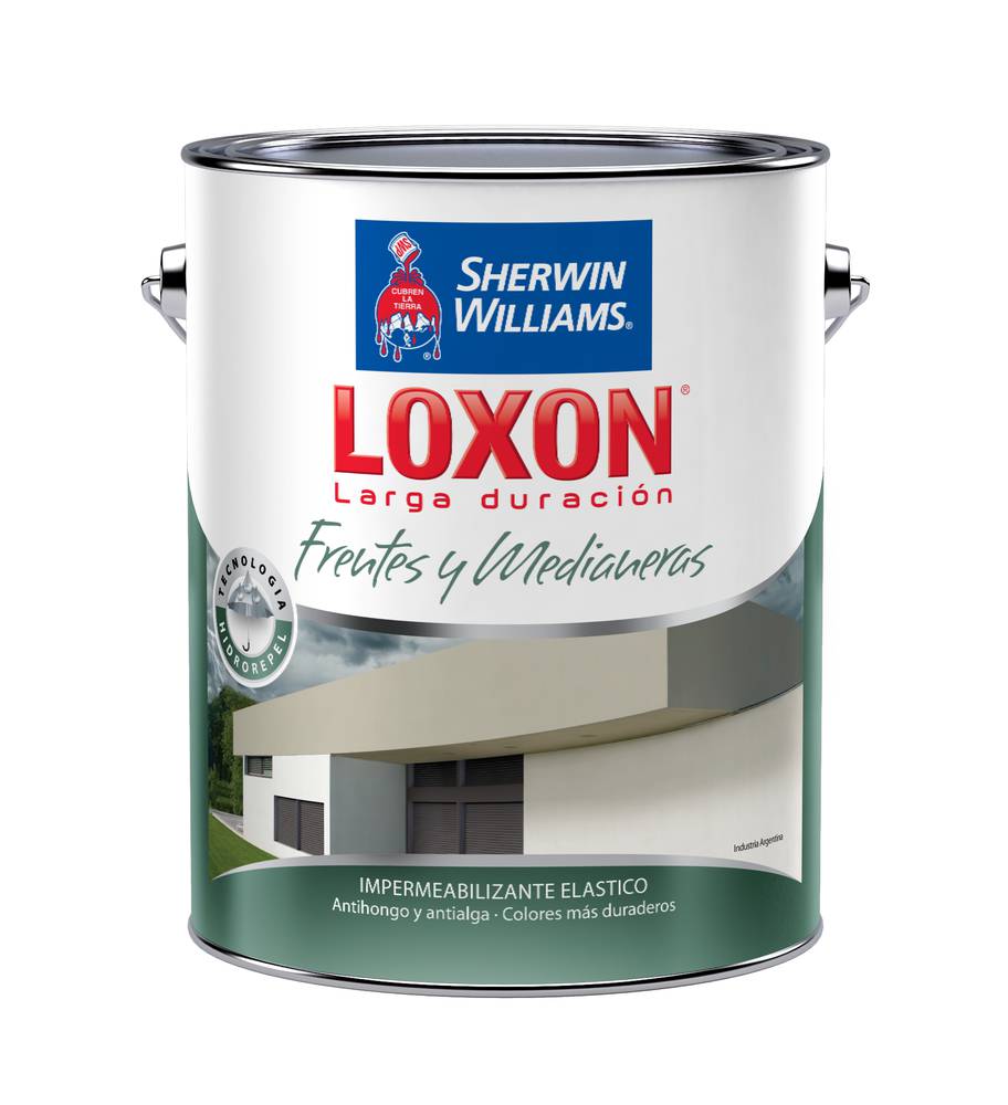 Loxon LD Frentes y Medianeras Elast blanco OUTLET x 20 lts.