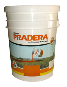 Pradera latex cielorasos  x 20 lts.