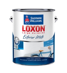 Loxon LD exterior mate x 4 lts.